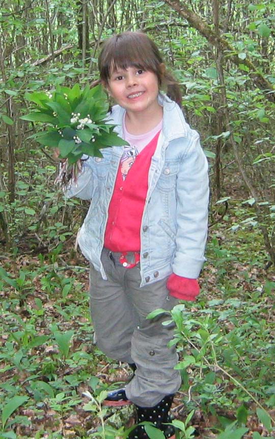 muguet